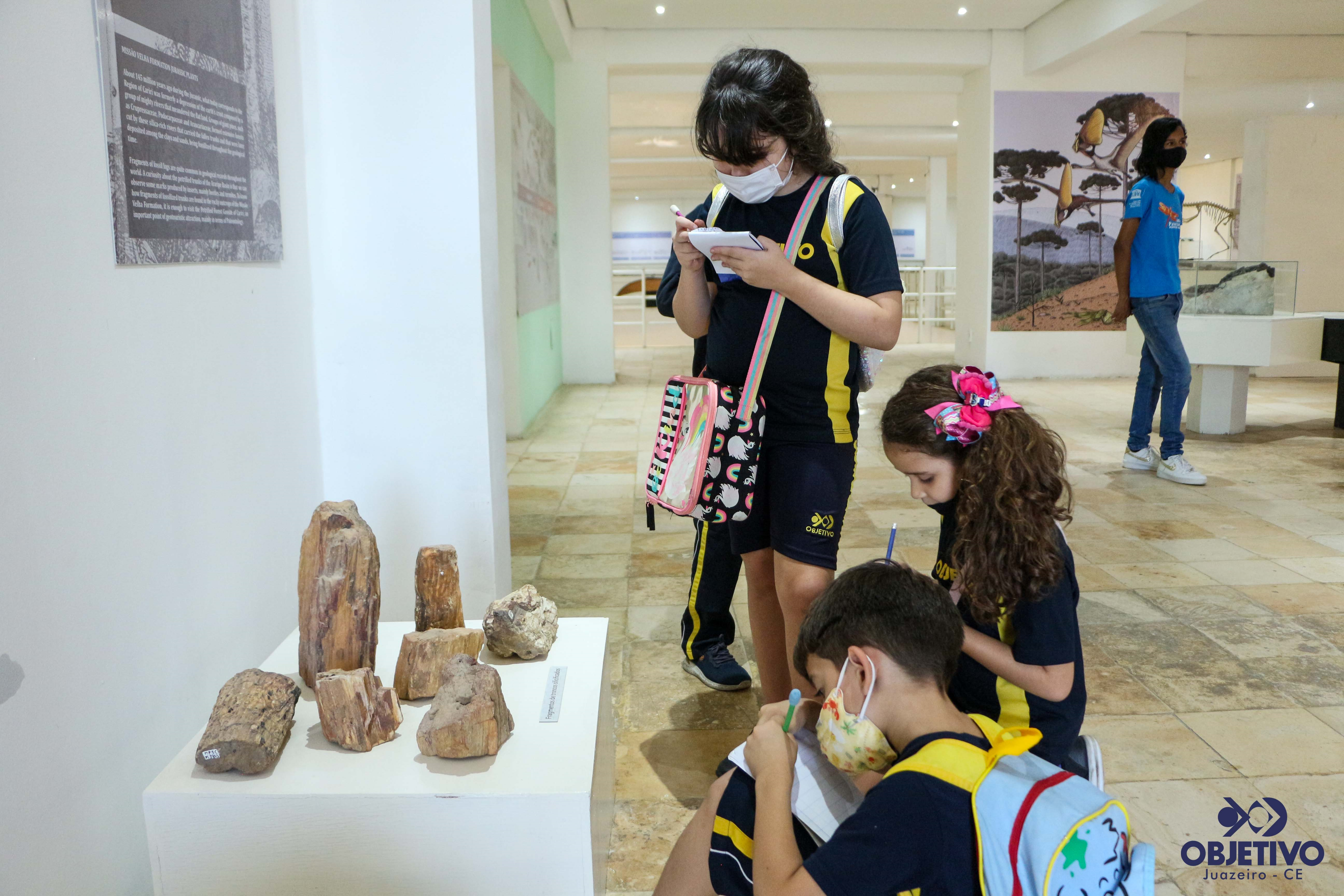 Aula de Campo: Estudantes visitam Museu de Paleontologia